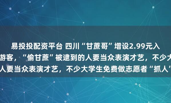 易投投配资平台 四川“甘蔗哥”增设2.99元入场费后，地里仍来了上千游客，“偷甘蔗”被逮到的人要当众表演才艺，不少大学生免费做志愿者“抓人”