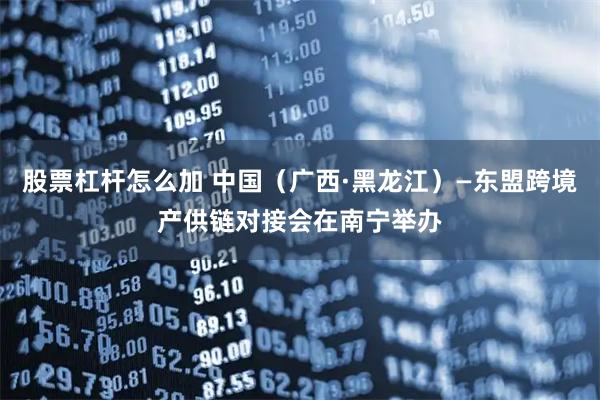 股票杠杆怎么加 中国（广西·黑龙江）—东盟跨境产供链对接会在南宁举办