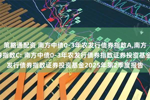 策略通配资 南方中债0-3年农发行债券指数A,南方中债0-3年农发行债券指数C: 南方中债0-3年农发行债券指数证券投资基金2025年第2季度报告