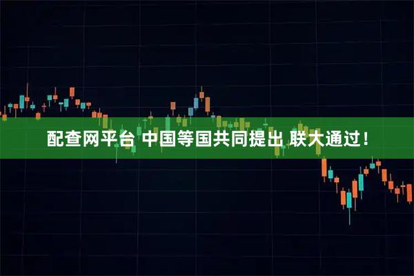 配查网平台 中国等国共同提出 联大通过！